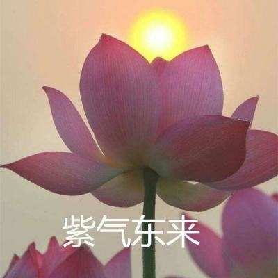 奥里希娅战记手游下载